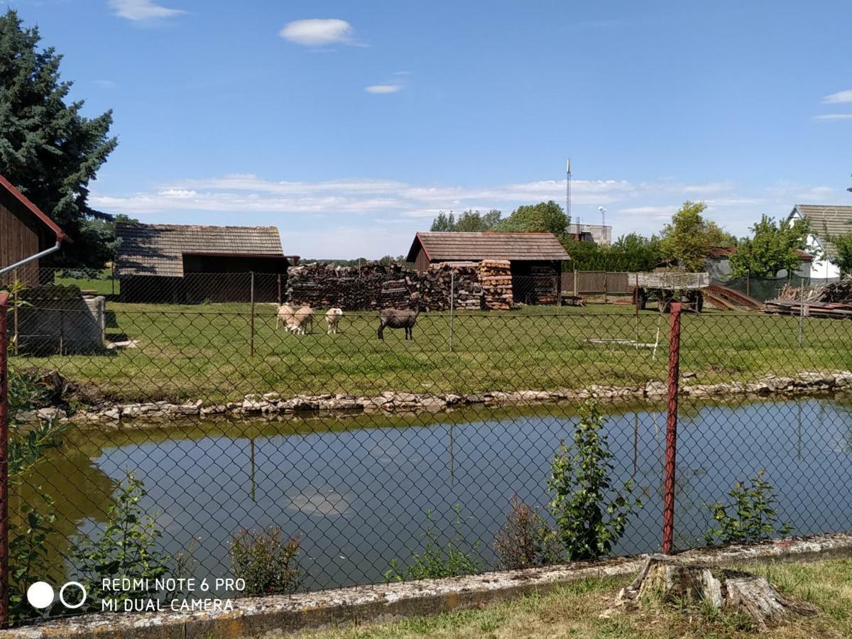 Ubytovani Ve Stodole Straz nad Nezarkou Exterior foto
